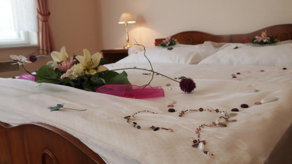 Bludov  Pension Habermannova Vila חדר תמונה